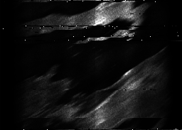 ascat_grayscale_ch1.png